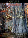 Louisiana Swamps U.S.A.